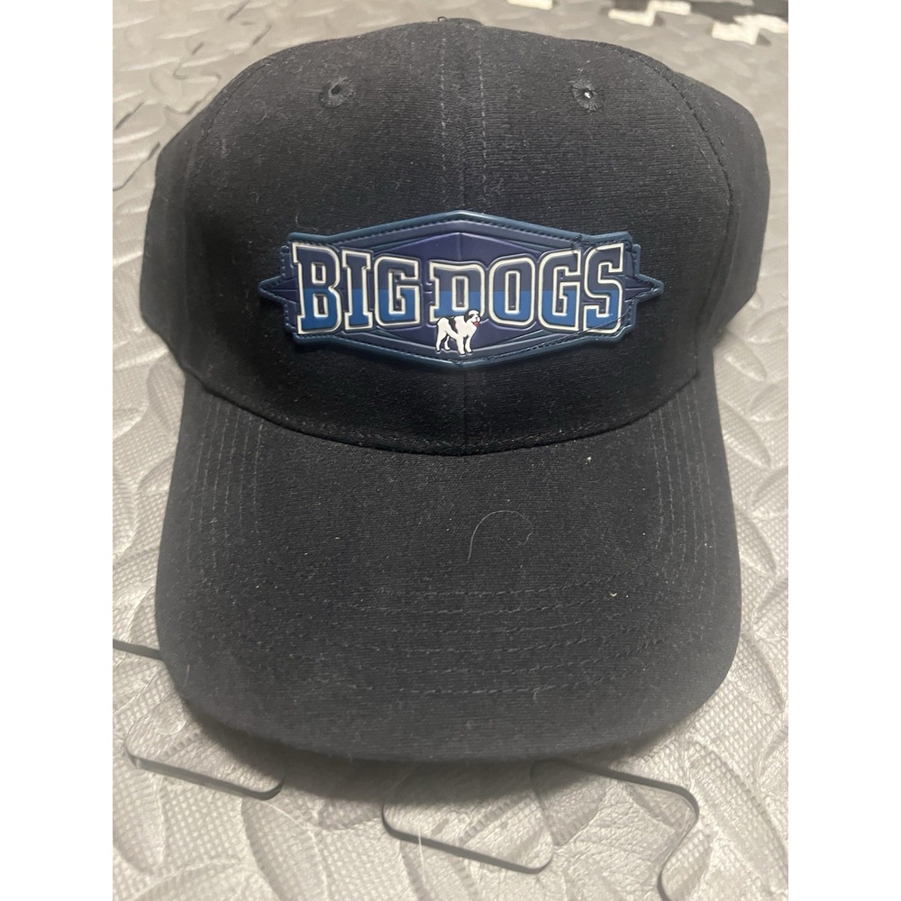 Big Dogs Strapback Baseball Cap‎ One Size Fits All NWOT slider Spell out Y2K 90s
